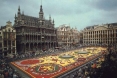 Гран-Плас с огромным ковром из цветов бегоний, Брюссель, Белгия        